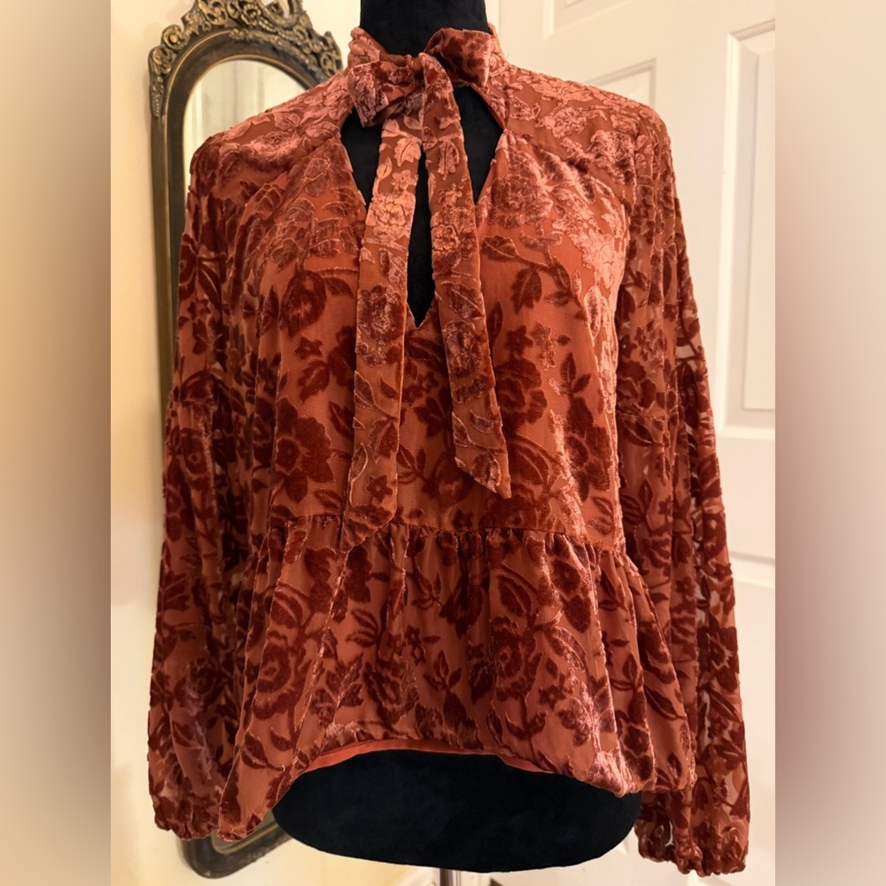 Anthropologie Rust Red Velvet Tie Front Blouse with Relaxed Sleeves - Picture 4 of 10